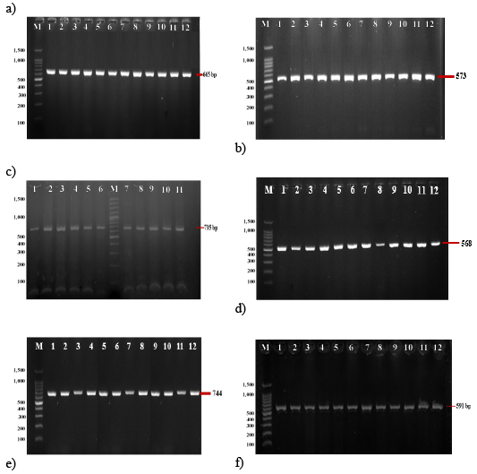 Figure 2: