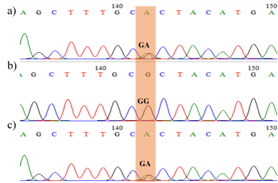 Figure 5: