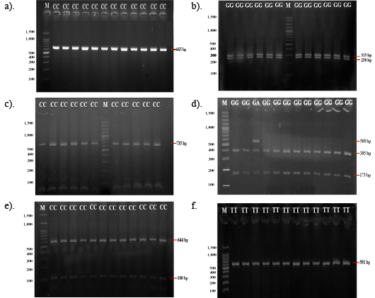 Figure 3: