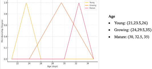 Figure 3: