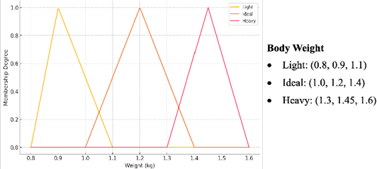 Figure 4: