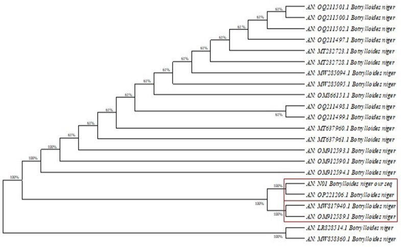 Fig. 2.
