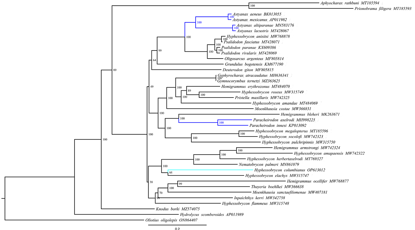Fig. 4.