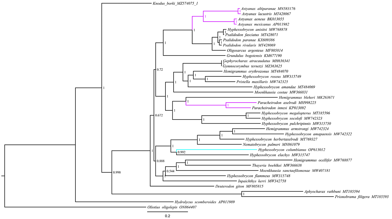 Fig. 3.