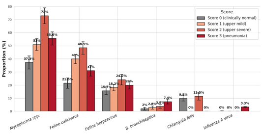 Figure 4: