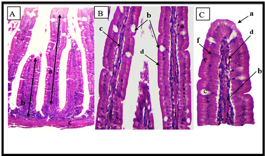 Figure 3:
