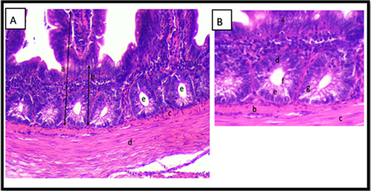 Figure 5: