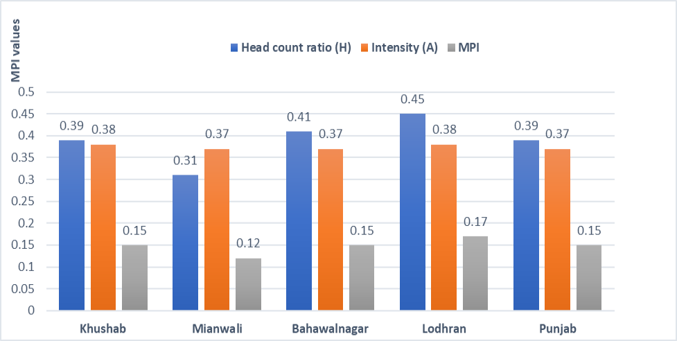 Figure 6: