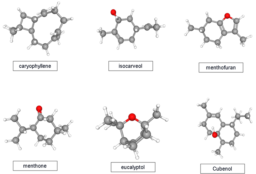 Figure 3: