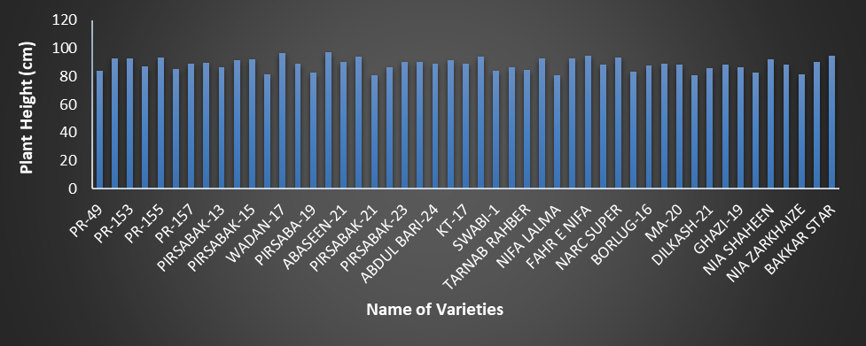 Figure 3: