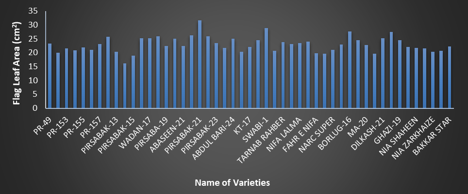 Figure 4: