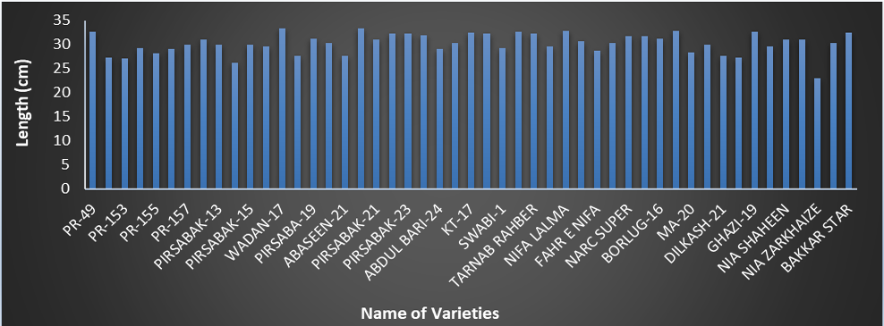 Figure 5: