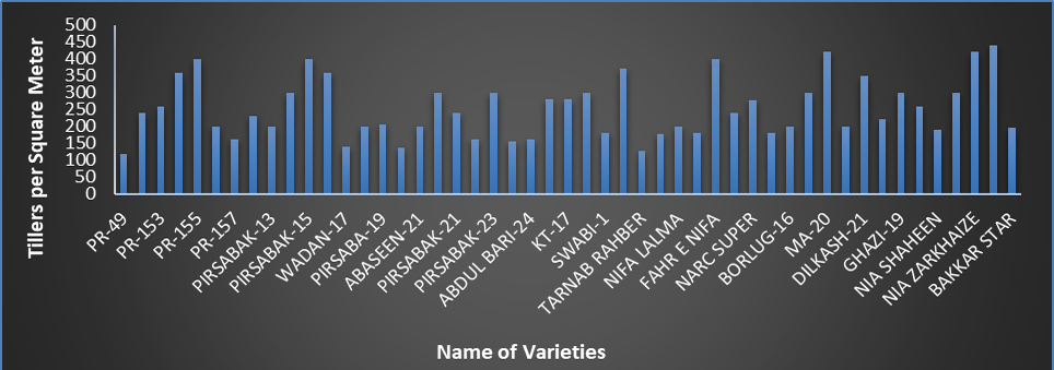 Figure 6: