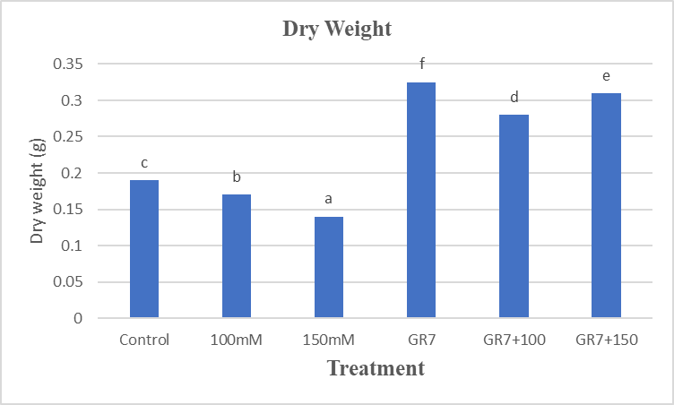 Figure 5: