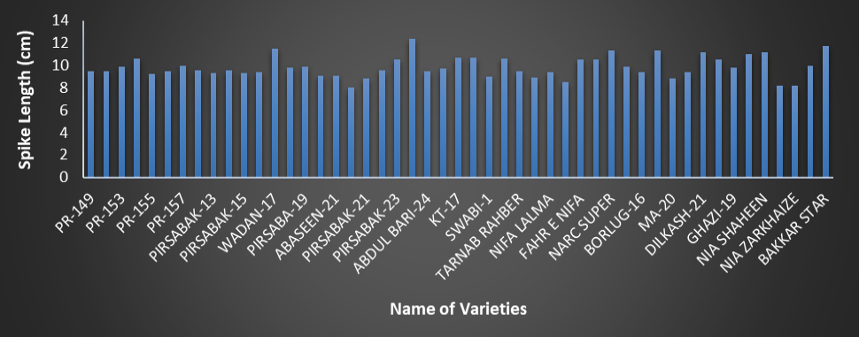 Figure 7: