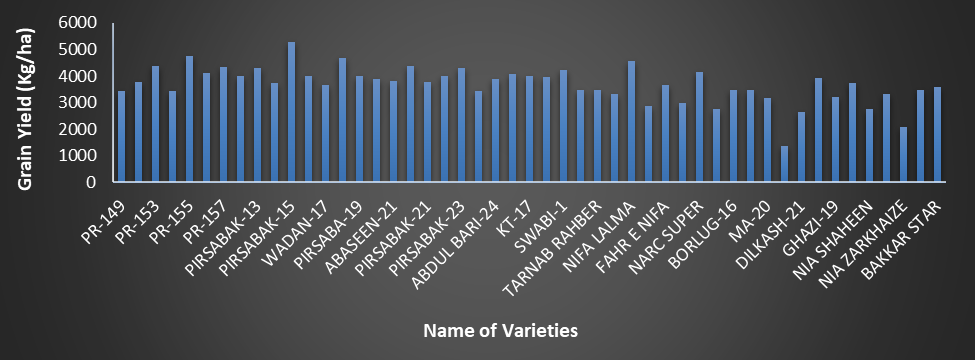 Figure 11: