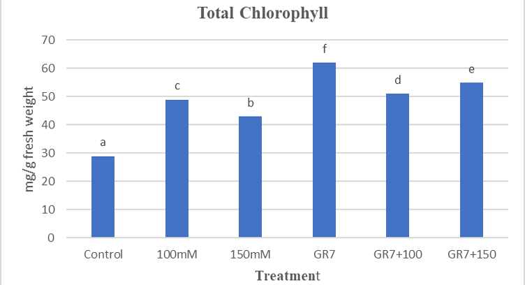 Figure 6: