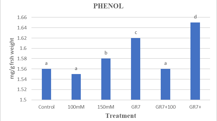 Figure 10:
