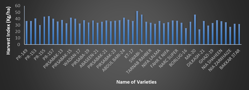 Figure 12: