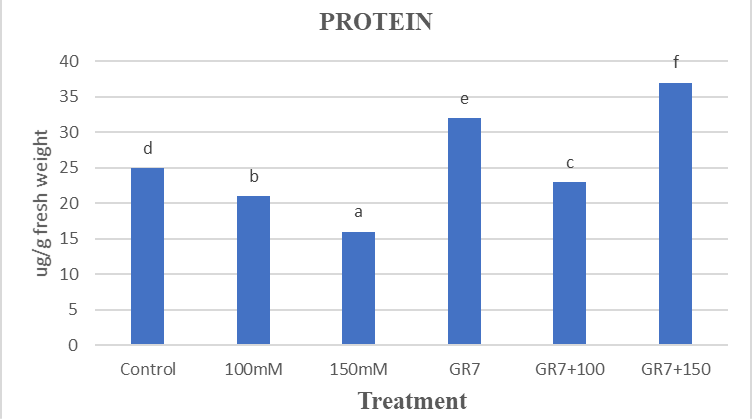 Figure 11: