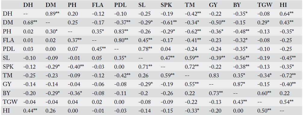 Table 8: