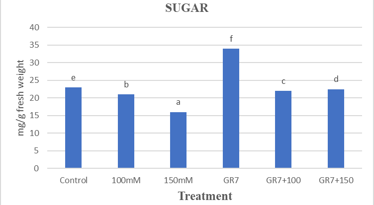 Figure 12: