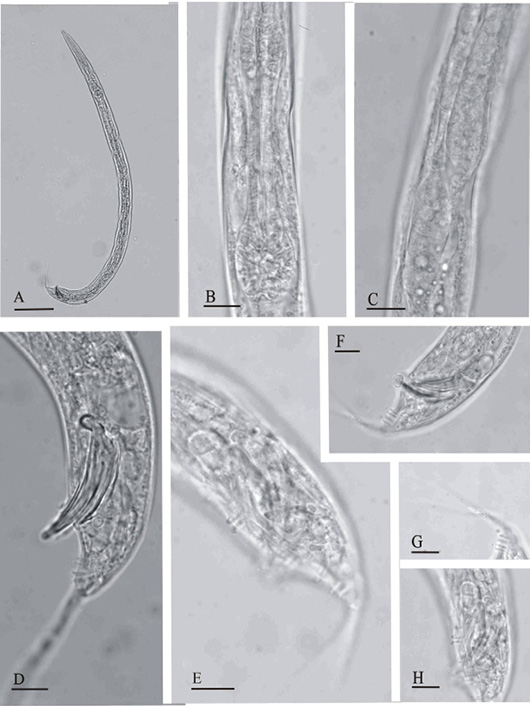 Figure 6: