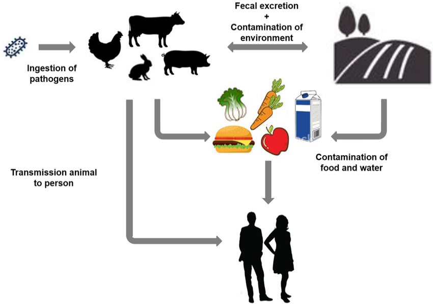 Figure 2: