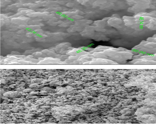 Figure 6: