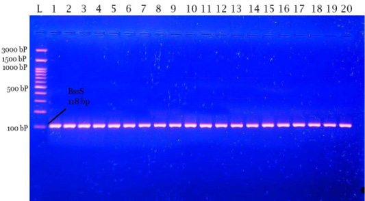 Figure 3: