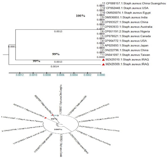 Figure 3: