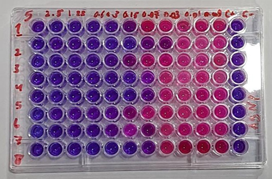 Figure 7: