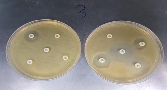 Figure 4: