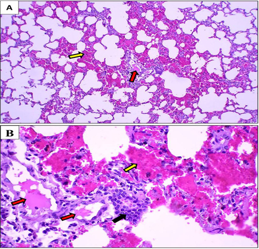 Figure 5: