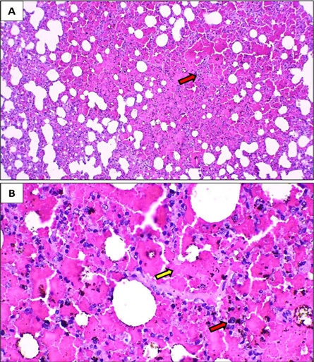 Figure 6: