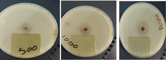 Figure 2: