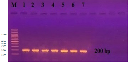 Figure 2: