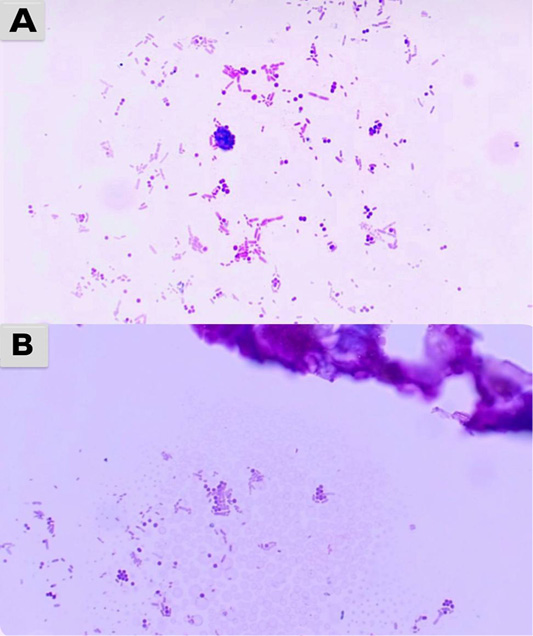 Figure 9: