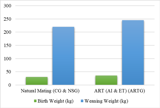 Figure 2: