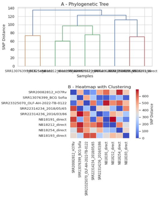 Figure 3: