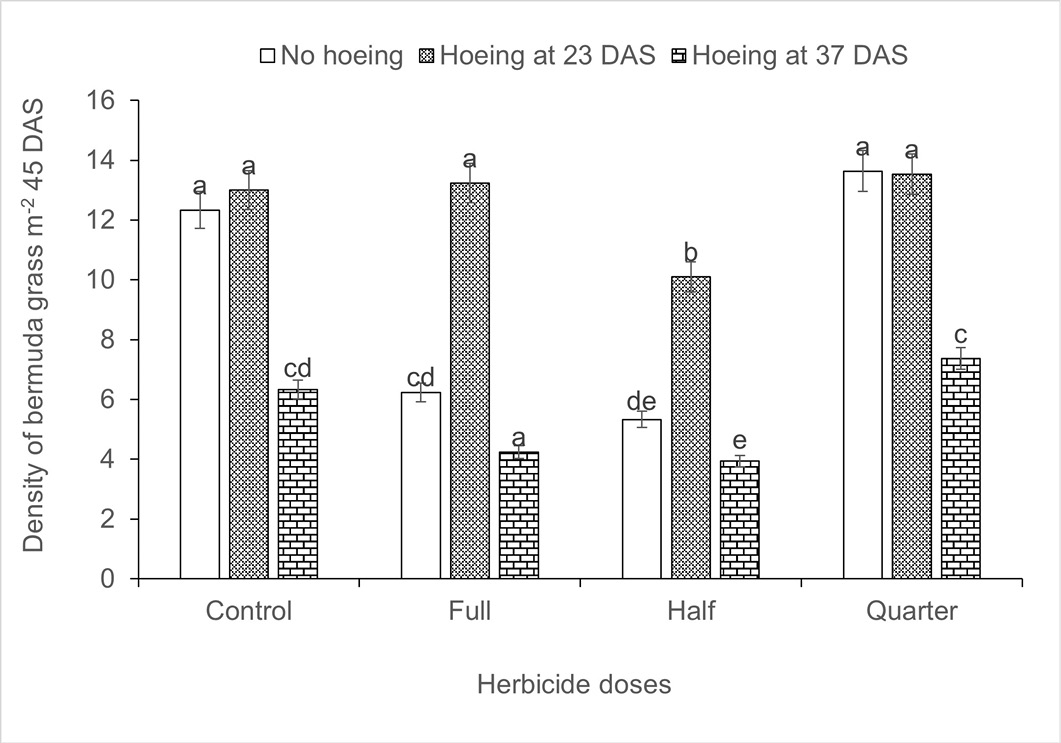 Figure 2: