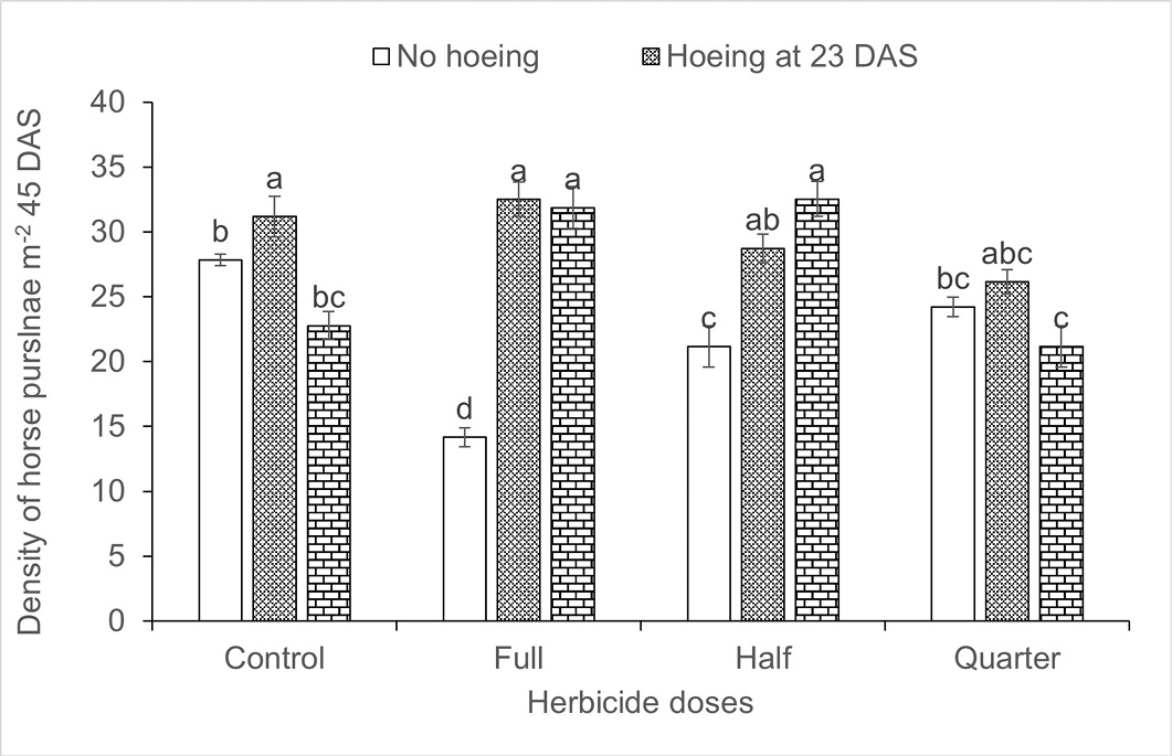 Figure 3: