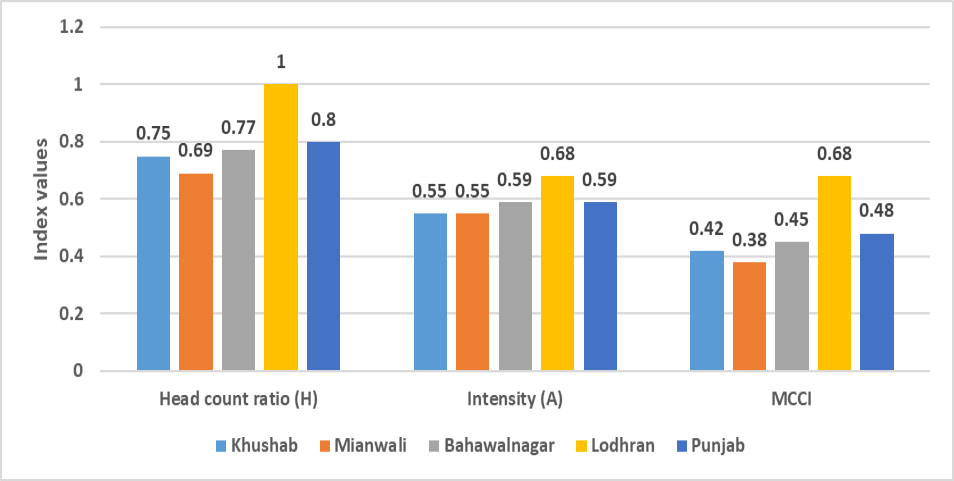 Figure 6: