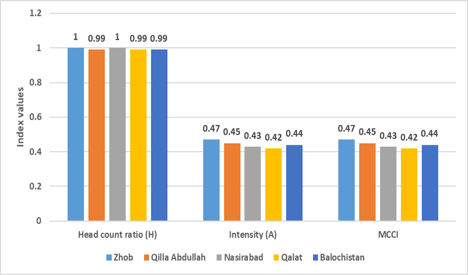 Figure 10: