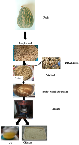 Figure 1: