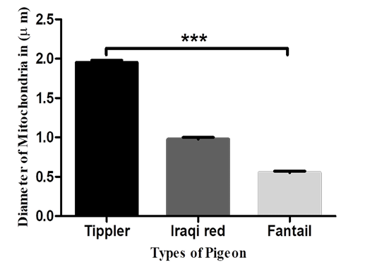 Figure 9: