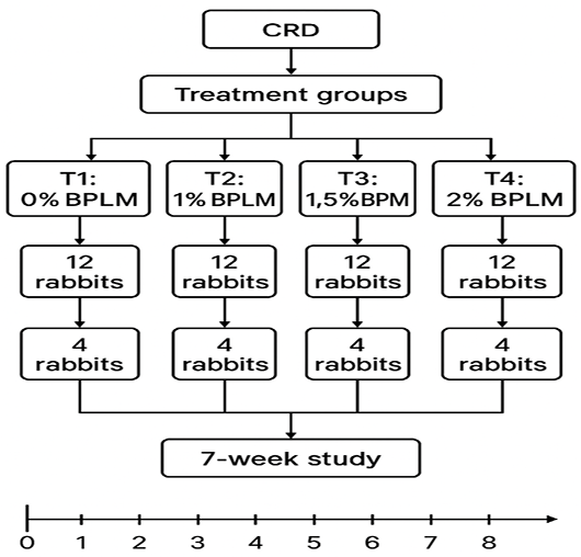 Figure 1: