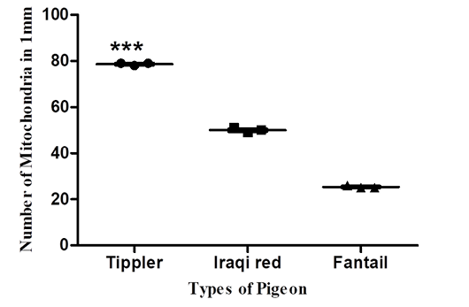 Figure 7: