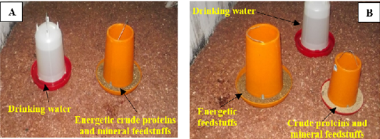 Figure 2: