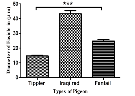 Figure 4: